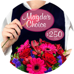 Magda's Choice