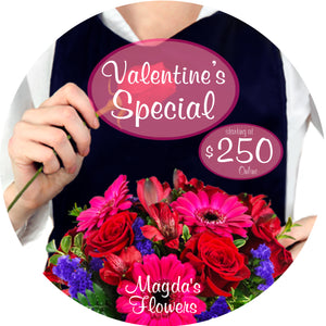 Valentine's Day Special